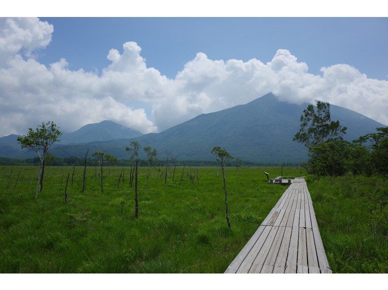 [Tochigi, Nikko] Group/Family Friendly Senjogahara Nature Guided Tourの紹介画像