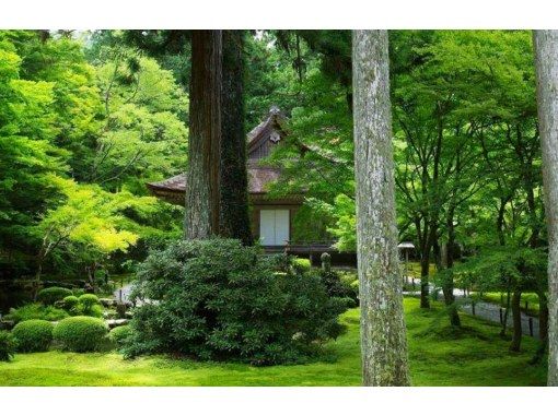 【日帰り/市内ホテルからの送迎です】京都・嵐山トロッコ列車・三千院の画像