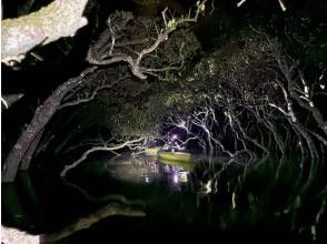 [Can join on the day of arrival] Amami Oshima Sunset & Night Mangrove Kayak Tour | A private tour at a time when there are fewer people!