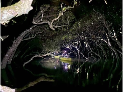 [Can join on the day of arrival] Amami Oshima Sunset & Night Mangrove Kayak Tour | A private tour at a time when there are fewer people!の画像