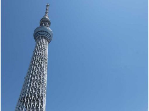 夏休み自由研究体験ツアー 東京スカイツリーと豊洲市場＆地震体験～海賊レストランでランチ付き～【029029‐772】の画像