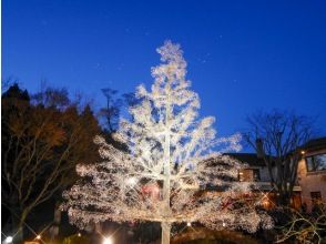 オリエント急行車内での美食ランチとクリスタルガラスのクリスマスツリー見学バスツアー ～フレンチコース付～【029029‐929】