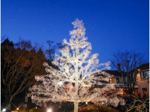 オリエント急行車内での美食ランチとクリスタルガラスのクリスマスツリー見学バスツアー ～フレンチコース付～【029029‐929】の画像