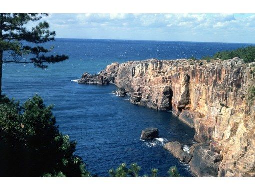 【日帰り/市内ホテルからの送迎です】南紀白浜温泉/人気な猫駅長--貴志駅/千畳敷の画像