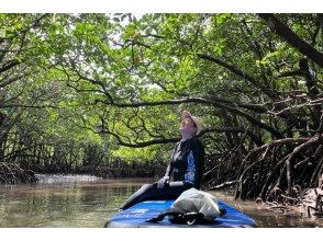 【石垣島マングローブSUP】吹通川のトンネルを探検｜木漏れ日・自然の音・生き物との出会い｜写真動画無料