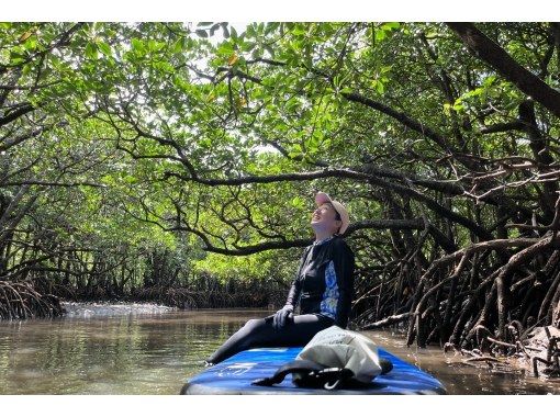 【石垣島マングローブSUP】吹通川のトンネルを探検｜木漏れ日・自然の音・生き物との出会い｜写真動画無料の画像