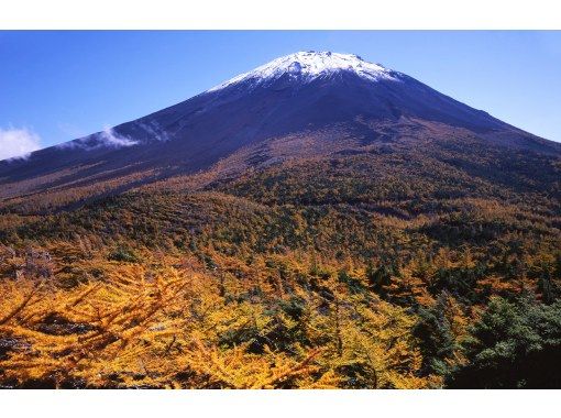 [13-person team/Pick-up from city hotels] Mt. Fuji Course A: Mt. Fuji, Oshino Hakkai, Outlets, Hot Springsの画像