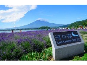 [13-person team/Pick-up from city hotels] Mt. Fuji B Course: Mt. Fuji, Lake Kawaguchi, Lake Yamanaka, Hot Springs