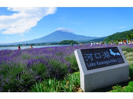 [13-person team/Pick-up from city hotels] Mt. Fuji B Course: Mt. Fuji, Lake Kawaguchi, Lake Yamanaka, Hot Springsの画像