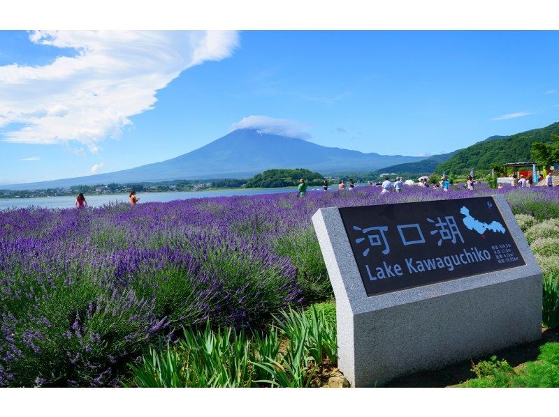 [13-person team/Pick-up from city hotels] Mt. Fuji B Course: Mt. Fuji, Lake Kawaguchi, Lake Yamanaka, Hot Springsの紹介画像