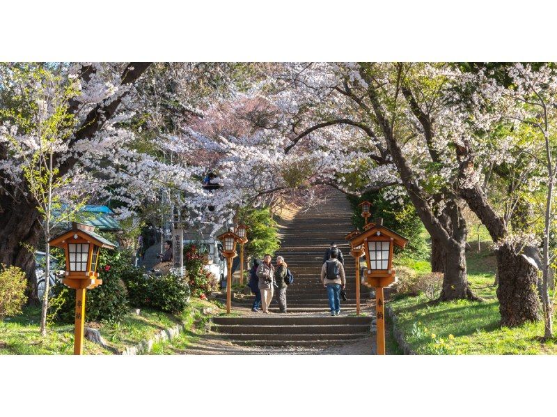 【13人のチームです·市内ホテルからの送迎です】東京発で河口湖日帰りツアー（富士山地域、新倉山浅間公園、大石公園、LAWSON）の紹介画像