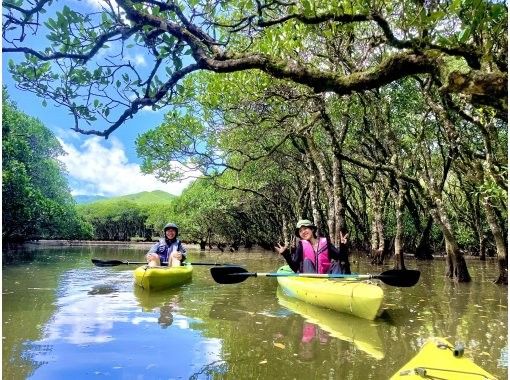 【奄美大島】カップル旅・グループ旅の方にオススメ！３名様までは無料送迎付き！(６０分〜)１組限定貸切マングローブカヌーツアー！の画像