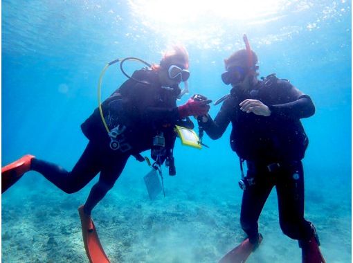 [Okinawa, Ishigaki Island] Easily obtain a license! PADI Open Water Diver Course (C-card acquisition)の画像