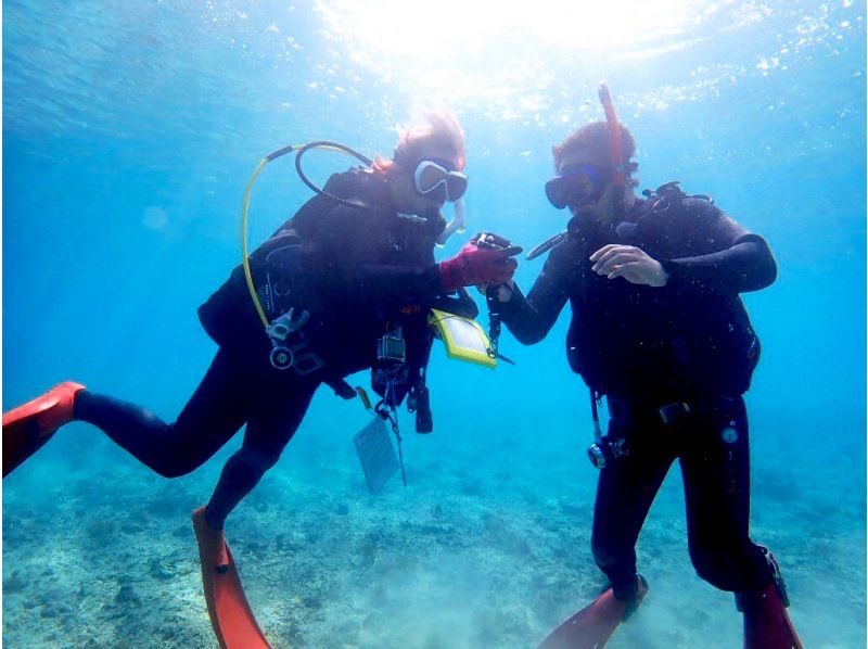 【沖縄・石垣島】サクッと気軽にライセンス取得！PADIオープンウォーターダイバーコース（Cカード取得）の紹介画像