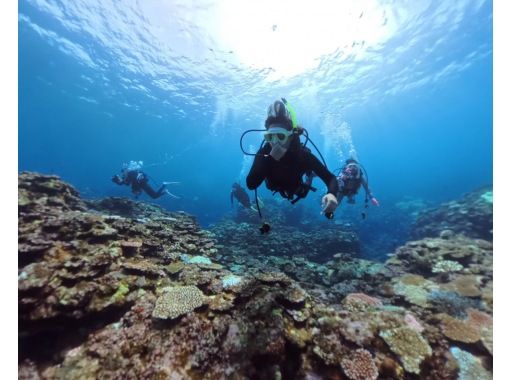 [Okinawa, Ishigaki Island] Obtain the long-awaited diving license! PADI Open Water Diver Course (C-card acquisition)の画像