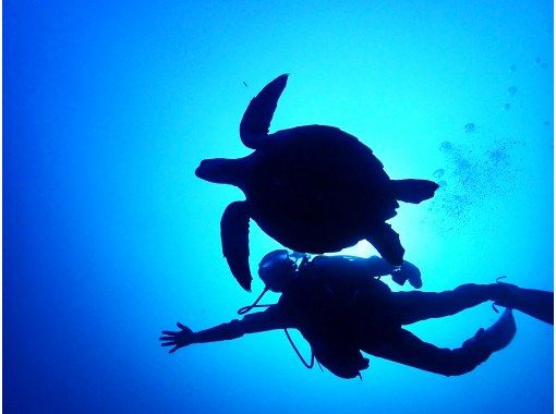 [Okinawa, Ishigaki Island] Quick and easy diving experience ♪の画像