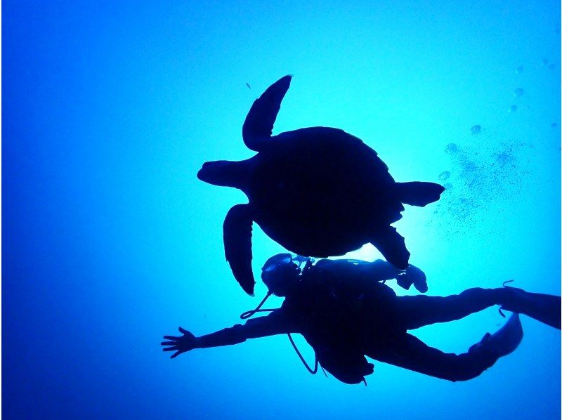 [Okinawa, Ishigaki Island] Quick and easy diving experience ♪の紹介画像