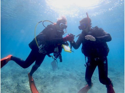 [Okinawa, Ishigaki Island] A quick and easy diving experience ♪ A chance to meet sea turtles and manta rays!の画像