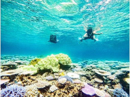 【沖縄・石垣島】サクッと2時間シュノーケリング☆安心の少人数制♪泳げない方でも大歓迎♪写真と動画無料！枚数制限なし！ビーチエントリー♪の画像