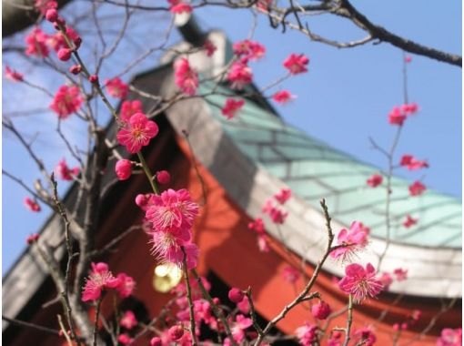 梅咲く鎌倉神社めぐり＆美しい竹の庭「報国寺」参拝ツアー　～老舗・鎌倉峰本にて創作精進料理のご昼食付～【029029‐1043】の画像