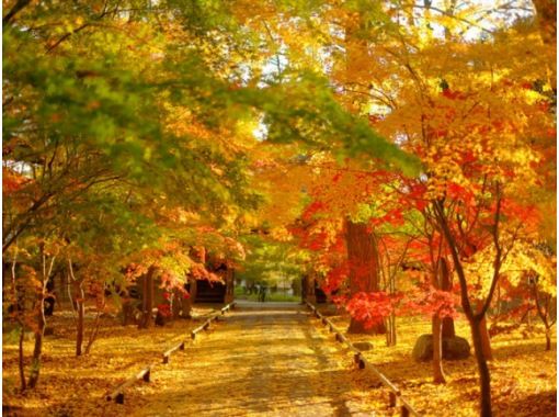 まるで都心の京都「九品仏浄真寺」＆都内を彩る紅葉スポットめぐりバスツアー　～伊勢海老御膳のご昼食付～【029029‐961】の画像