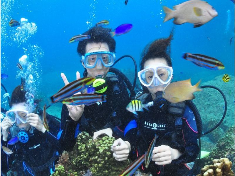 [Diving in Tokyo and Kozushima] inexperienced person, beginners welcome! Experience diving impressed by the high degree of transparency seaの紹介画像