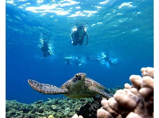 【石垣島/2時間】料金最安値★青の洞窟探検&ウミガメやニモに出会えるシュノーケリングツアー★子供・初心者歓迎（機材・写真データ無料）の画像