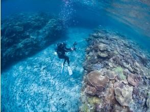 【沖縄・ゴリラチョップ】体験ダイビングコース☆高画質！GoPro水中動画プレゼント☆広がるサンゴ礁と美しい白浜の海へＧＯ！！