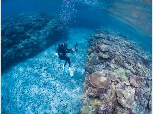 【沖縄・ゴリラチョップ】体験ダイビングコース☆高画質！GoPro水中動画プレゼント☆広がるサンゴ礁と美しい白浜の海へＧＯ！！の画像