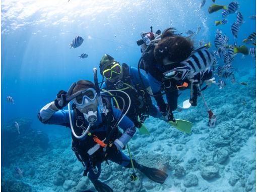 【沖縄・ゴリラチョップ】体験ダイビングコース☆高画質！GoPro水中動画プレゼント☆広がるサンゴ礁と美しい白浜の海へＧＯ！！の画像