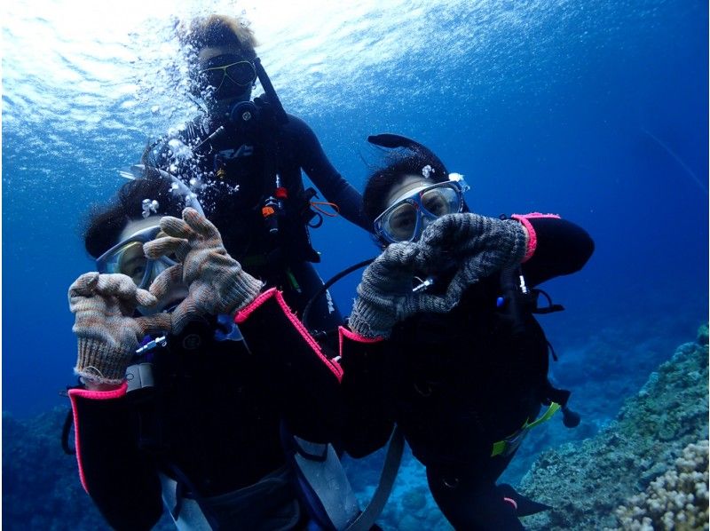 [Okinawa]Kerama Islands Experience Diving One day trip planの紹介画像