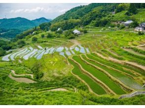 在特別的地方享受岡山縣北部的美食和當地酒 - 豐西食堂 - 在神山的梯田享受岡山縣北部的美食和當地酒的美作之旅