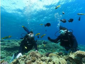 SALE! [Okinawa, Minna Island, Sesoko Island] Boat experience diving (2 dives) Photo and video shooting gift