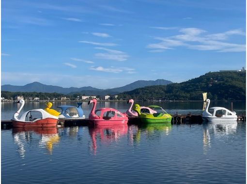 SALE! [Photos included] Swan boats and their friends on the waterの画像