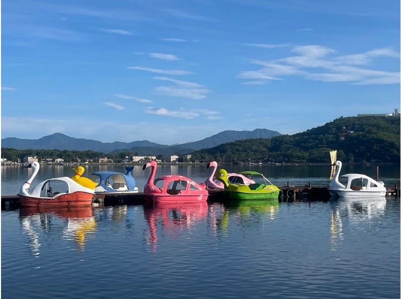 SALE! [Photos included] Swan boats and their friends on the waterの紹介画像