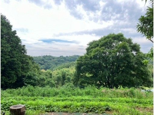 [Machida, Tokyo] Vegetable harvesting experience at a mountain top field, vegetarian cooking experience, and nagashi somen experienceの画像