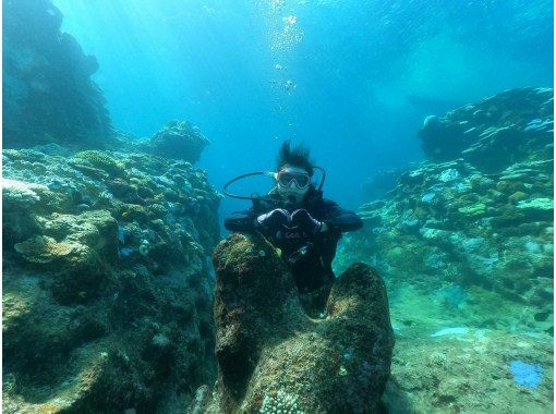 [Love Island Kouri Island/Nakijin] Boat Fun Diving (2 dives) Photo and video shoot as a giftの画像