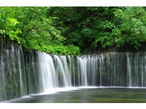 Karuizawa Summer Resort, Hikawa Shrine, Kawagoe Little Edo "Travel" Day Tour (Departing from Tokyo)