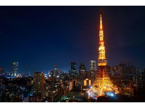 Tokyo Tower/Team Lab ticket included tour + Korean lessonの画像