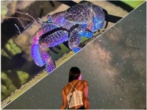 【宮古島・夜定番・人気急上昇⤴︎】《星空×ジャングルナイトツアー》★一眼レフ星空撮影付き！★0歳〜99歳OK！★前日・当日予約OK！