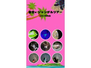 【宮古島・夜定番】ジャングルナイトツアー！★お子様大歓迎！★天然プラネタリウム！★生き物探し！★当日予約OK！