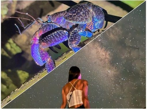 【宮古島・夜定番・人気急上昇⤴︎】《星空フォト×ジャングルツアー》★一眼レフ星空撮影無料サービス！★定番の2大ツアーを同時に満喫！の画像