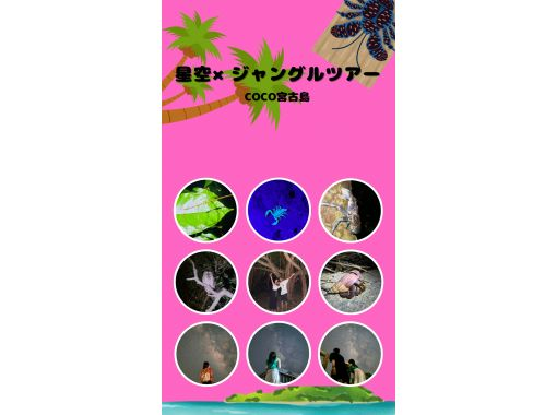 【宮古島・夜定番】ジャングルナイトツアー！★お子様大歓迎！★天然プラネタリウム！★生き物探し！★当日予約OK！の画像