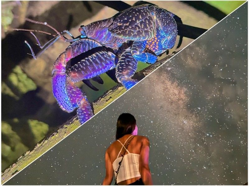 【宮古島・夜定番・人気急上昇⤴︎】《星空×ジャングルナイトツアー》★一眼レフ星空撮影無料サービス！★定番の2大ツアーを同時に満喫！の紹介画像