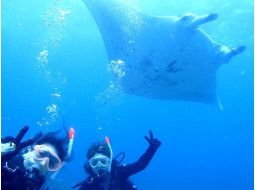 グループ割【石垣島・ダイビングライセンス・Cカード・2日間】PADIアドバンスオープンウォーターライセンス取得コース（2日間5dive）の画像