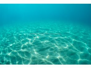 [Hokkaido, Shakotan] Experience diving in the blue sea world of Shakotan!