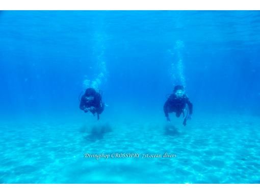 [Hokkaido, Shakotan] Experience diving in the blue sea world of Shakotan!の画像