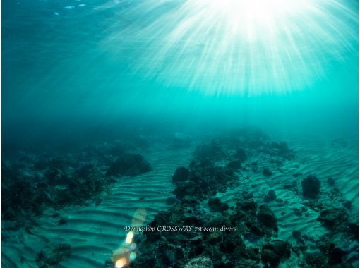 [Hokkaido, Shakotan] Fun diving tour in the blue sea world of Shakotan!の画像