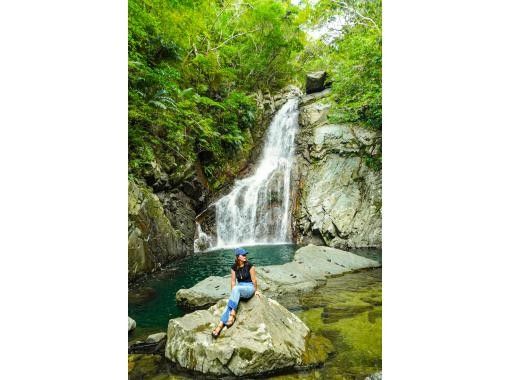 [沖繩縣/山原]您可以在大自然中享受徒步旅行和在河中玩耍的樂趣。使用單眼相機免費攝影。 [大自然探險]の画像