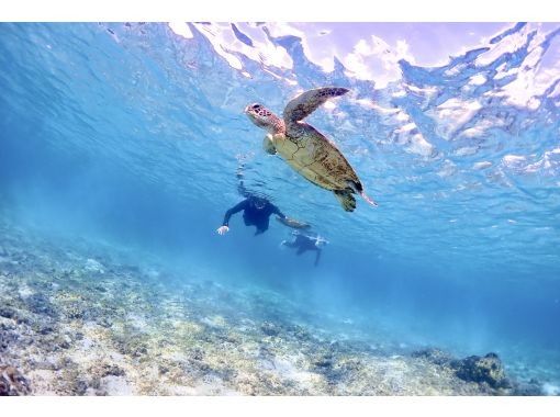 【沖縄・宮古島】遭遇率100％継続！ウミガメシュノーケリングツアー☆真っ白な砂浜の広がる宮古ブルーのビーチ！未経験のお子様から大人まで大歓迎の画像